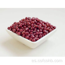 Red Beans Nutrition en venta